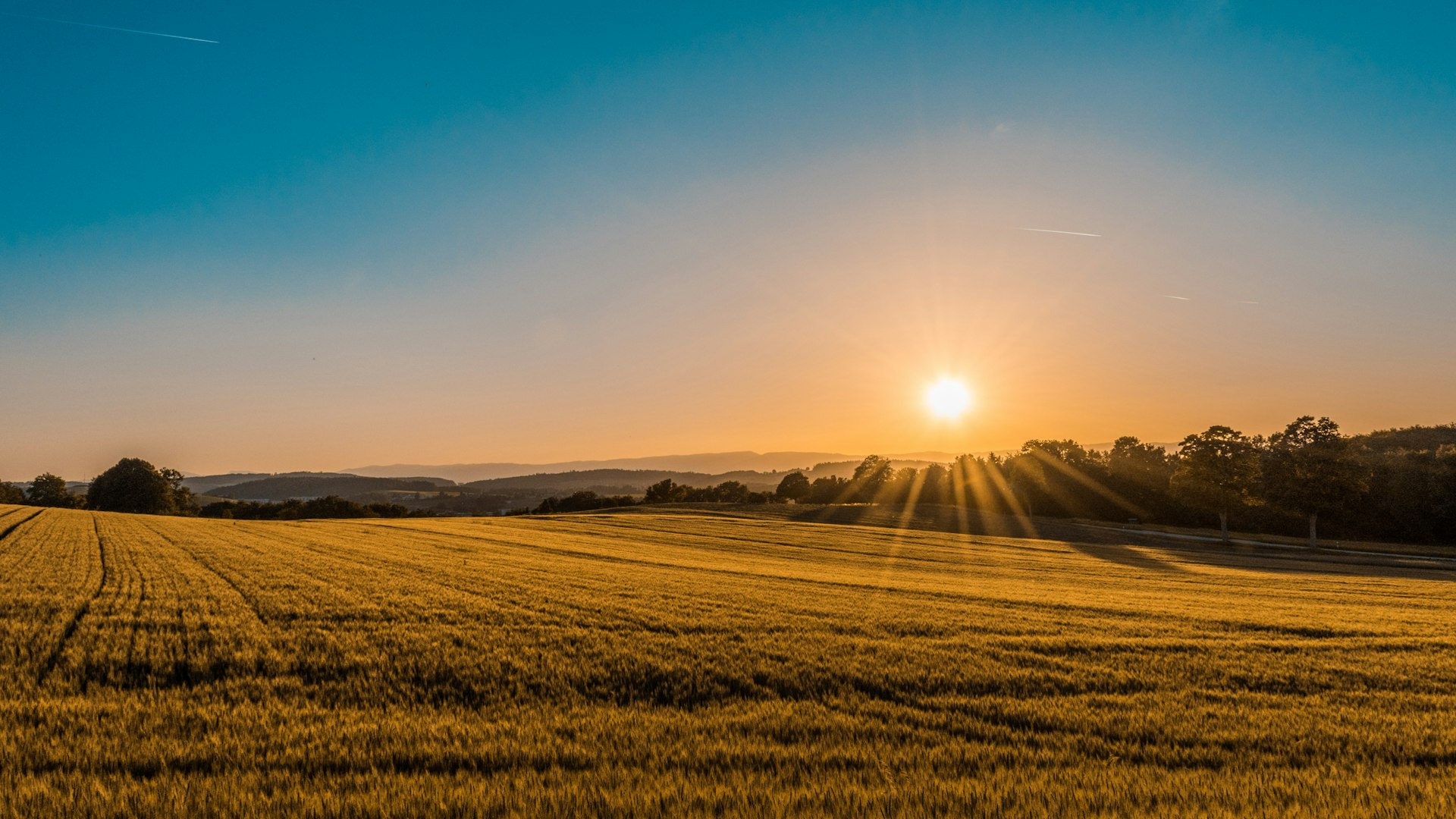 Fields stretching to the horizon — the land as it is.